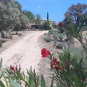 Casa di campagna Stazzo Su Niberalzu, Monti